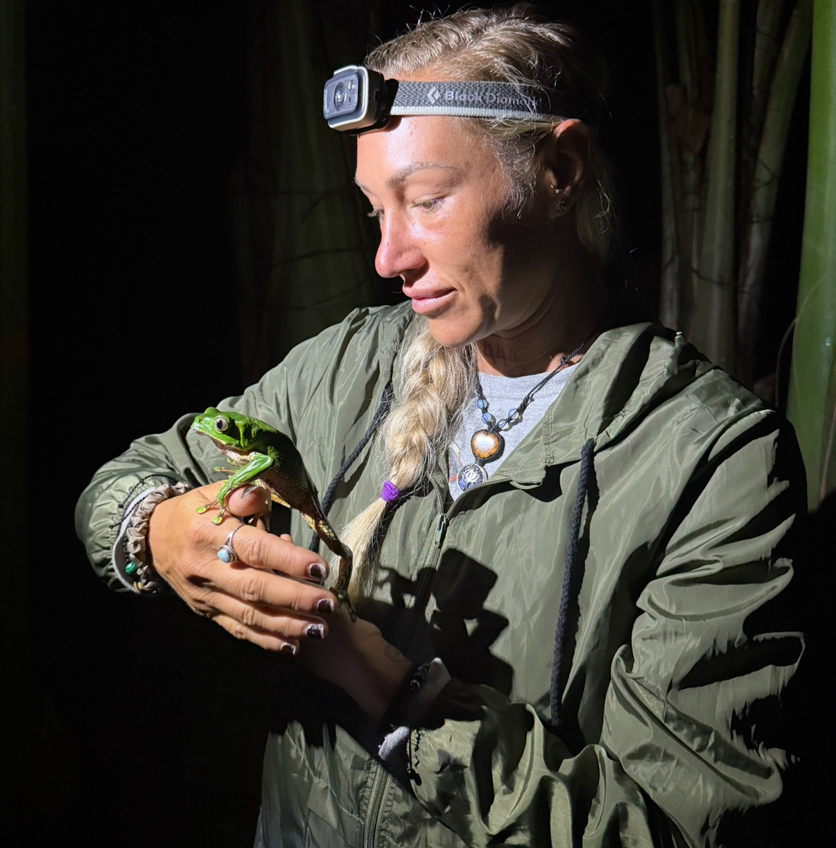Practitioner with Giant Monkey Frog for Kambo ceremony