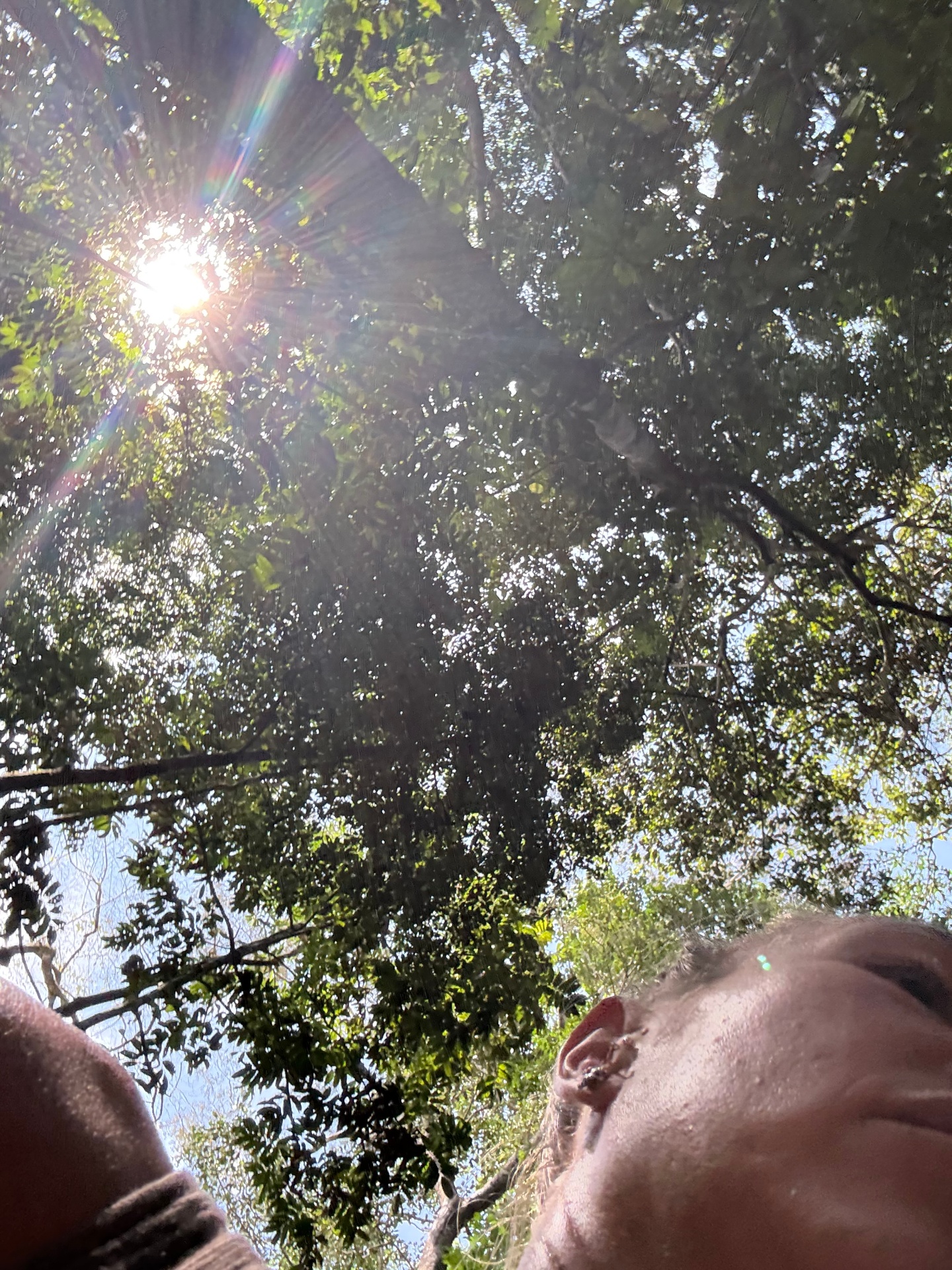 Amazon rainforest canopy - sacred ceremony setting